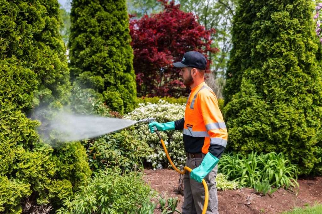 technical work doing plant care in palm beach