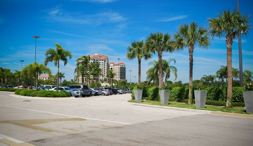 Tree care and arbor care services in Palm Beach Gardens FL