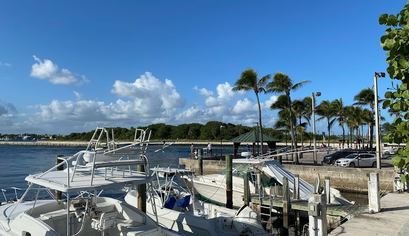 Trusted arbor care services in Royal Palm Beach FL