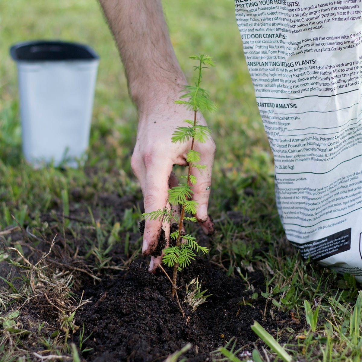 Professional arbor care and tree health services in Palm Beach, FL- Jason's Aborcare