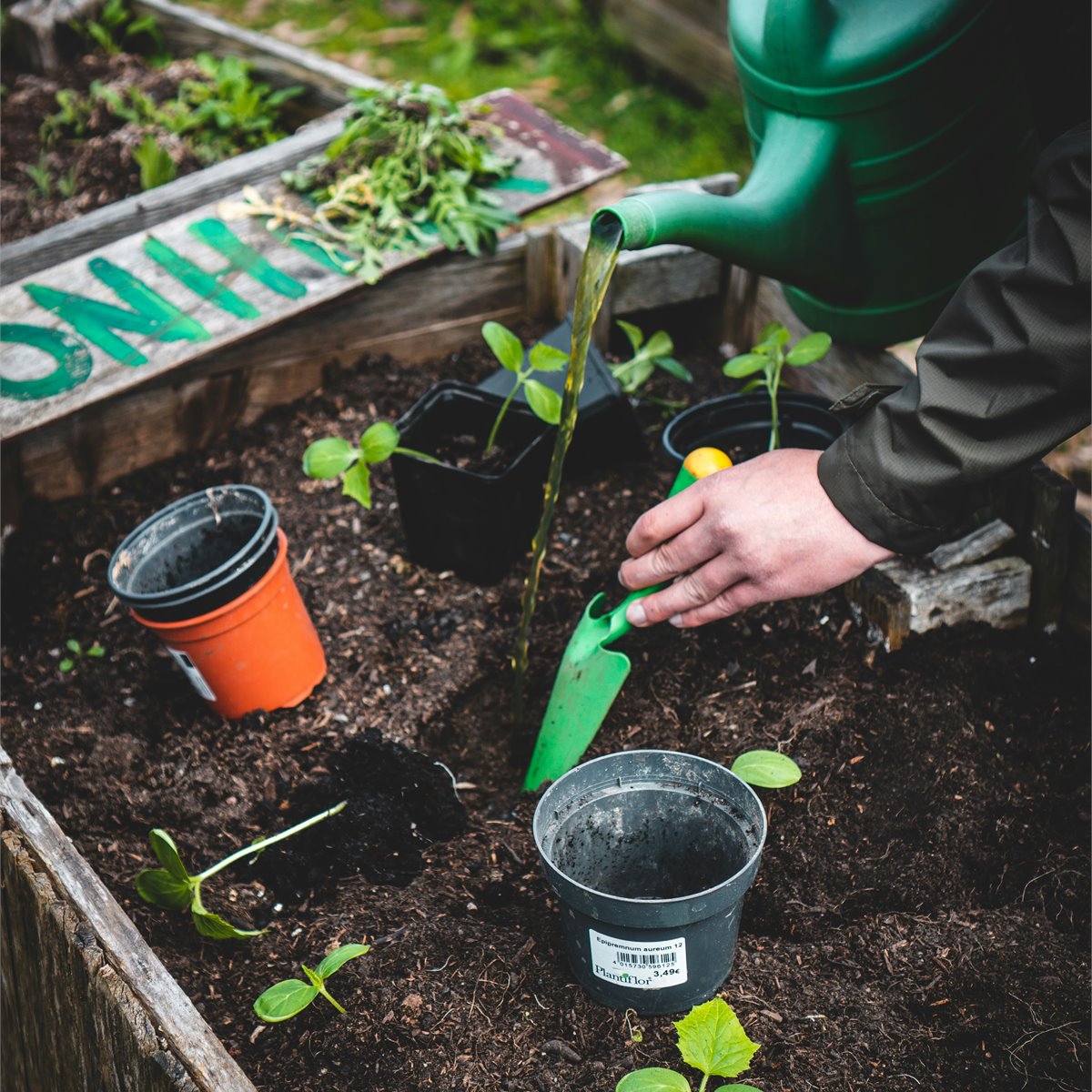 Reliable arbor care and tree health services in Tequesta, FL - Jason's Aborcare