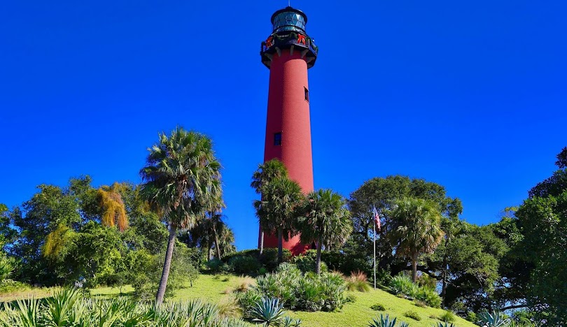 Arbor care services in Jupiter FL by Jason's Arborcare