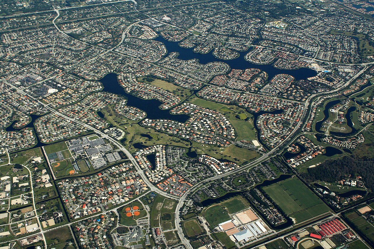 Professional arbor care and tree maintenance in Wellington FL