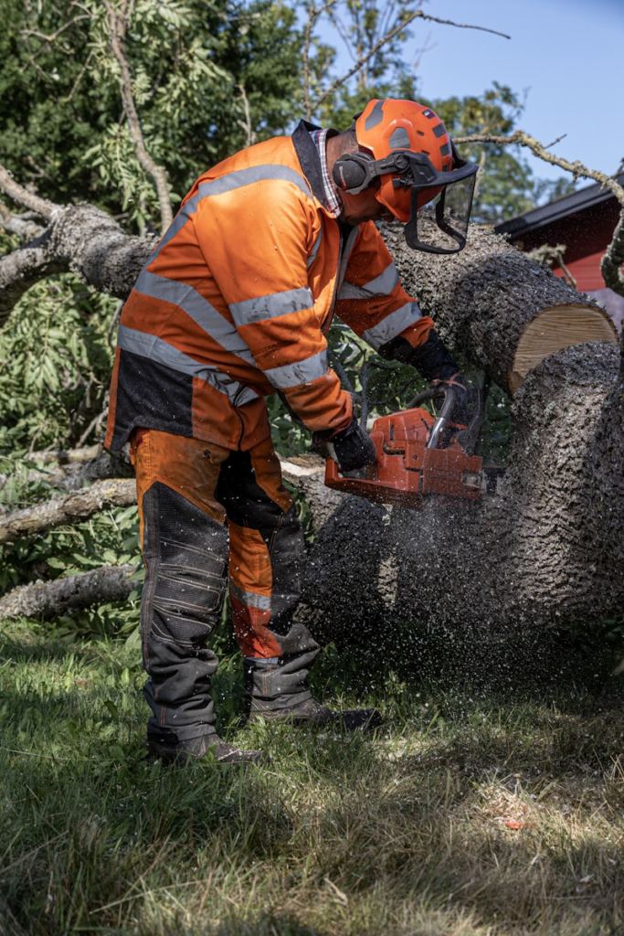 A lumberjack performing tree trimming service with a chainsaw. in Wellington, FL - Jason's Aborcare