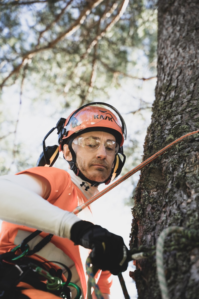 Top Notch Tree Trimming services near me